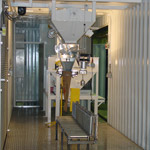 mix plants interior